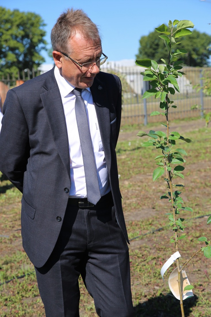 Директор музея-заповедника "Бородинское поле" Игорь Корнеев посадил яблоню сорта "Слава Победителям"